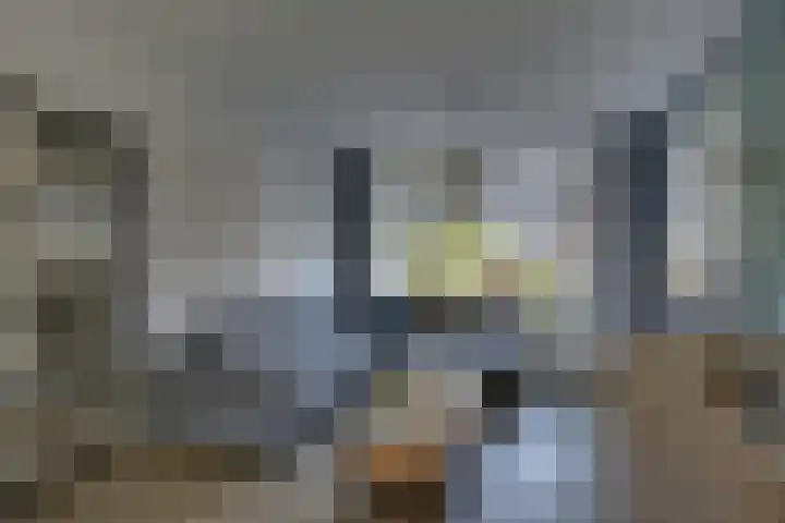 Wolterinksweg 81 Haarle thumbnail 9