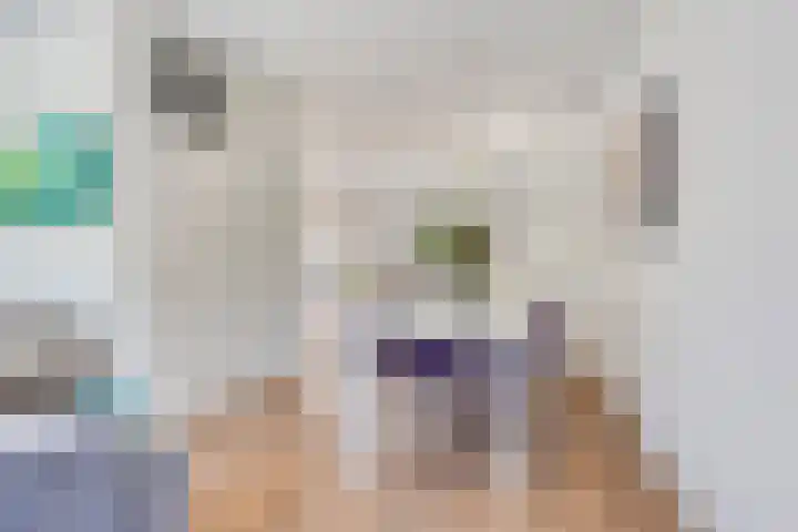 Woltingepad 24 Meppel thumbnail 10