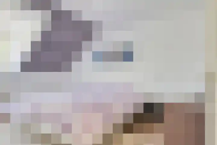Woltingepad 24 Meppel thumbnail 18