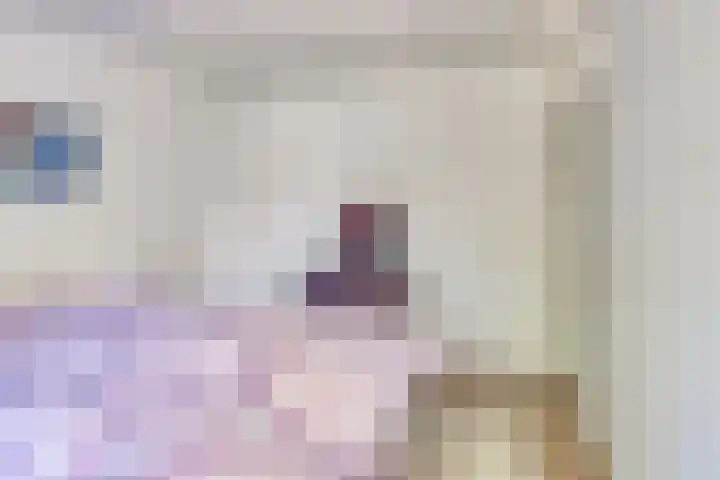 Woltingepad 24 Meppel thumbnail 20