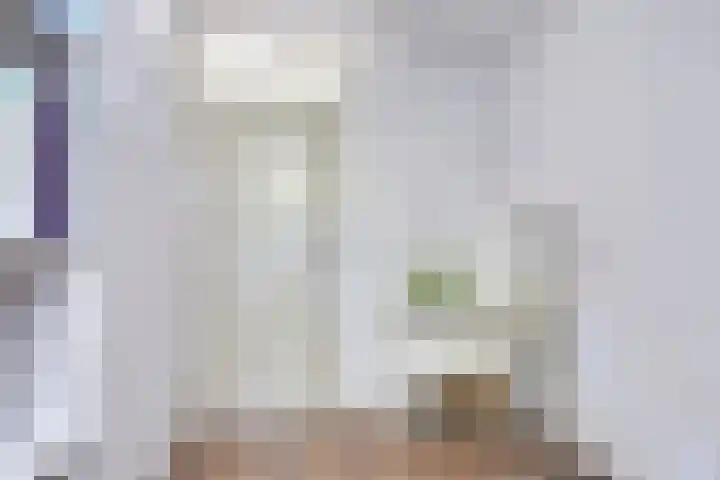 Woltingepad 24 Meppel thumbnail 22
