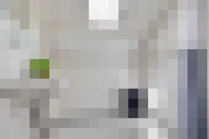 Woltingepad 24 Meppel thumbnail 27