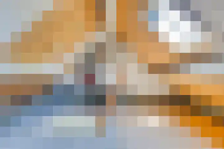 Woltingepad 24 Meppel thumbnail 28