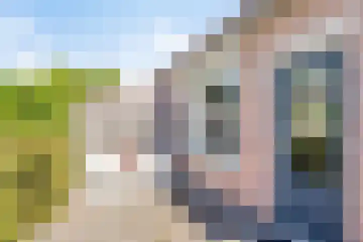 Woltingepad 24 Meppel thumbnail 31