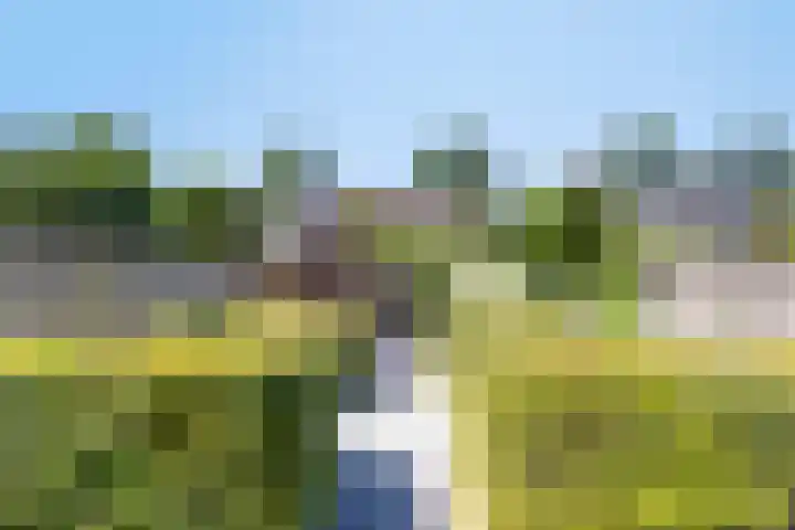 Woltingepad 24 Meppel thumbnail 32