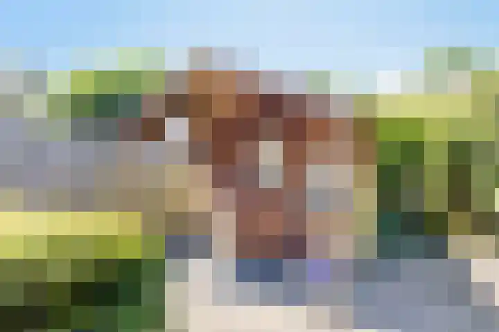 Woltingepad 24 Meppel thumbnail 33