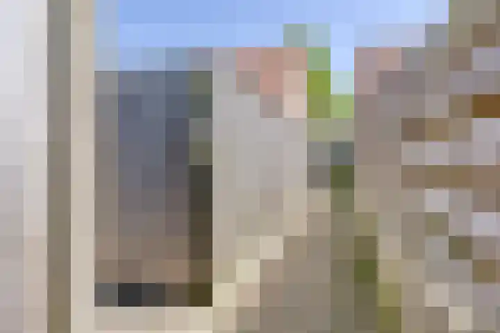 Woltingepad 24 Meppel thumbnail 35