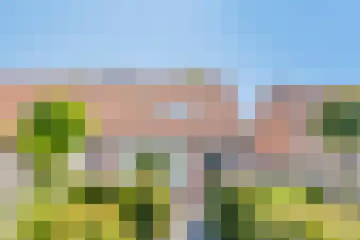 Woltingepad 24 Meppel thumbnail 36