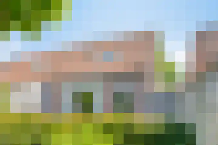 Woltingepad 24 Meppel thumbnail 37