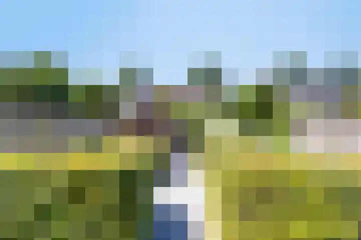 Woltingepad 24 Meppel thumbnail 4