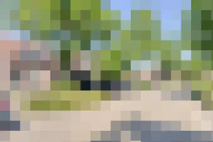 Woltingepad 24 Meppel thumbnail 40