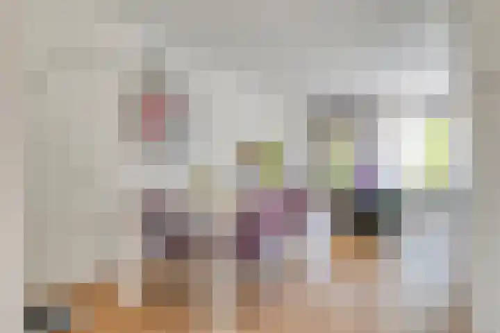 Woltingepad 24 Meppel thumbnail 6