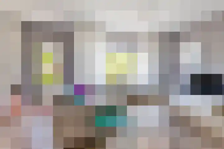 Woltingepad 24 Meppel thumbnail 7