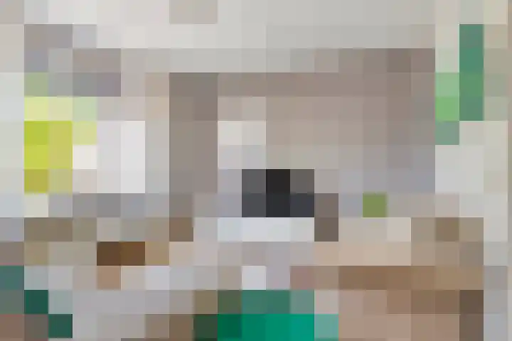 Woltingepad 24 Meppel thumbnail 8