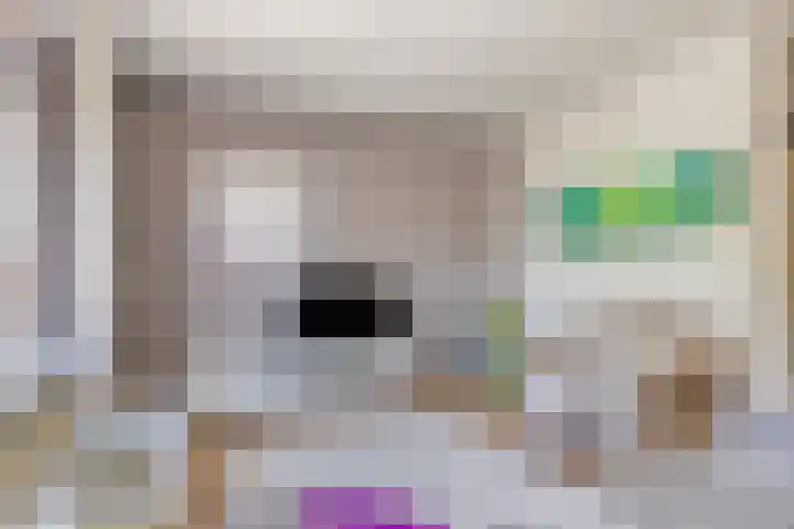 Woltingepad 24 Meppel thumbnail 9