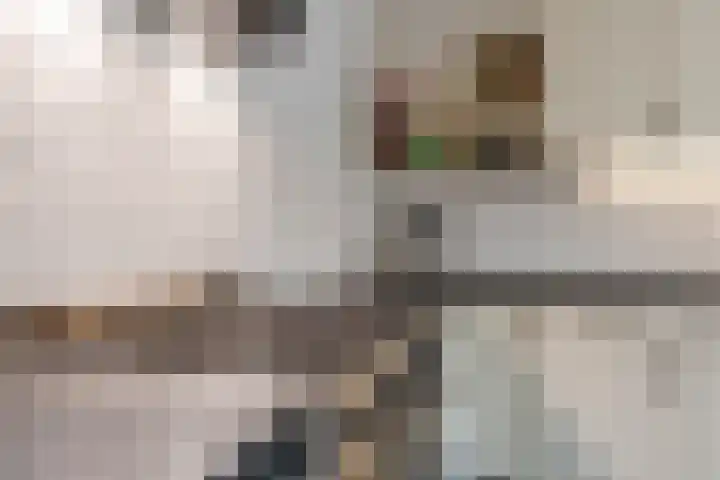 Woltingepad 29 Meppel thumbnail 11