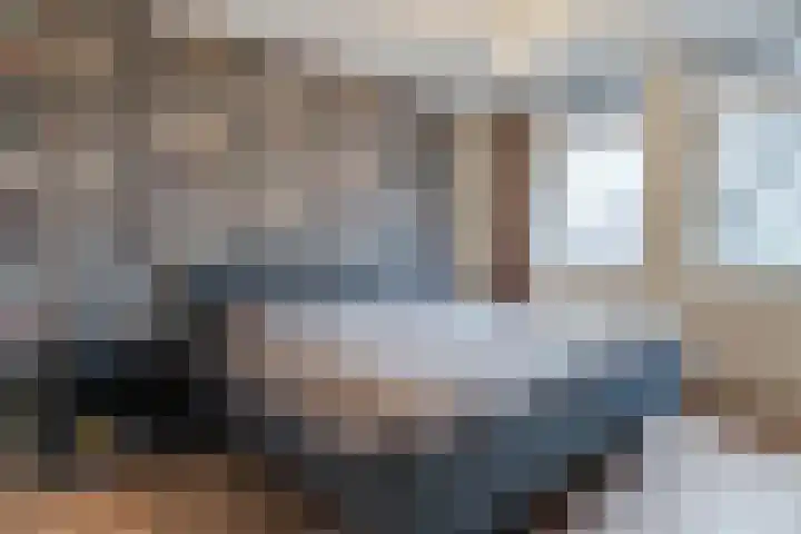Woltingepad 29 Meppel thumbnail 14