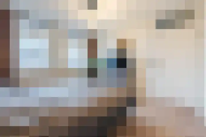 Woltingepad 29 Meppel thumbnail 16