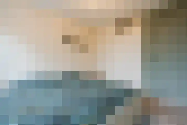 Woltingepad 29 Meppel thumbnail 18