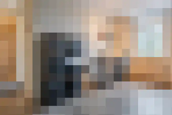 Woltingepad 29 Meppel thumbnail 20