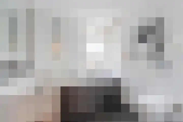 Woltingepad 29 Meppel thumbnail 22