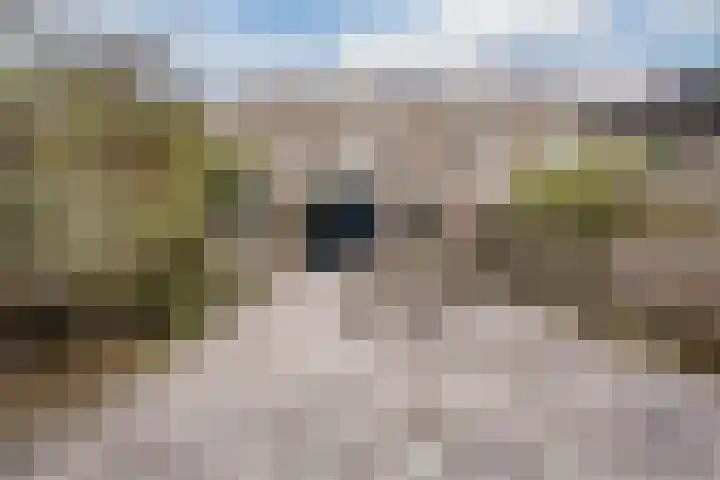 Woltingepad 29 Meppel thumbnail 30