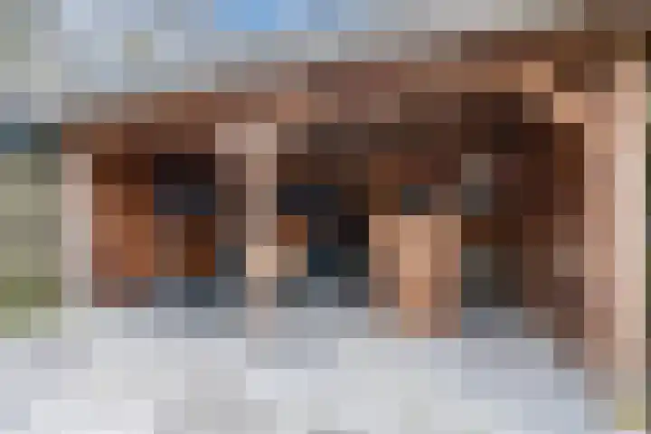 Woltingepad 29 Meppel thumbnail 31