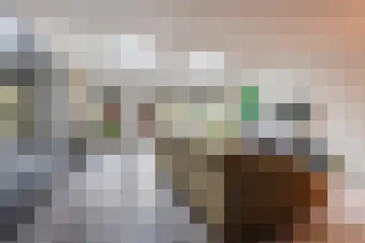 Woltingepad 29 Meppel thumbnail 4