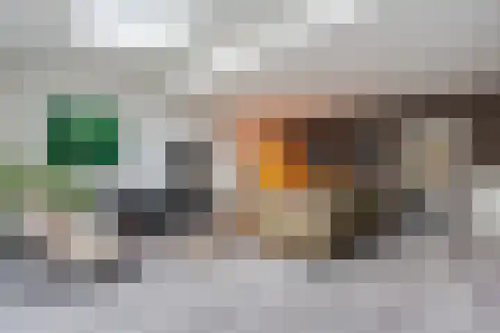 Woltingepad 29 Meppel thumbnail 5