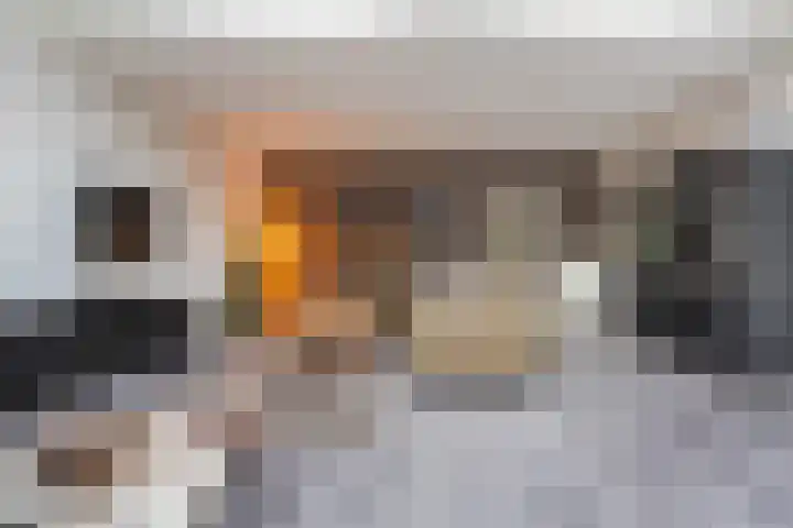 Woltingepad 29 Meppel thumbnail 6