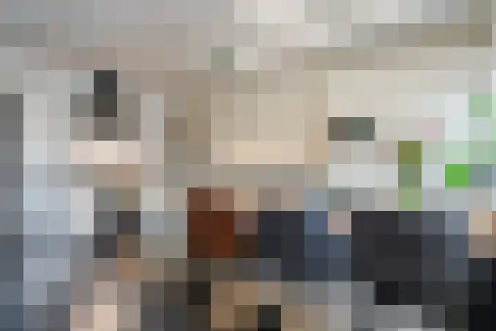Woltingepad 29 Meppel thumbnail 8