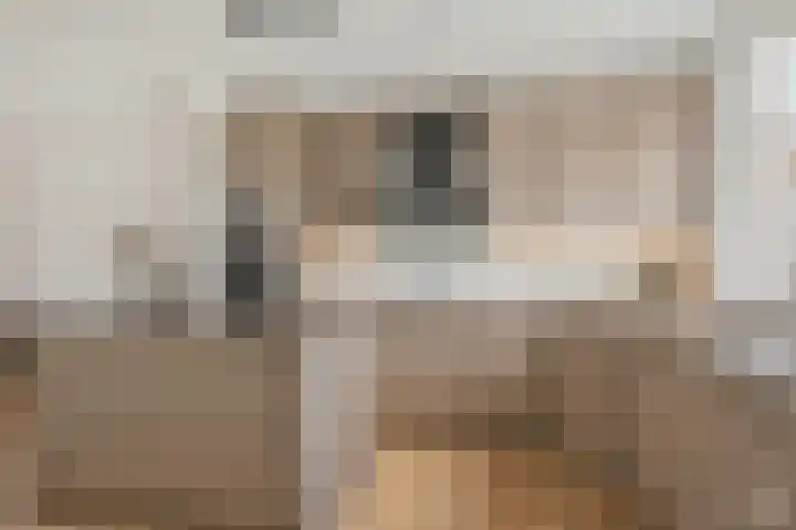 Wolvepad 42 Berghem thumbnail 14
