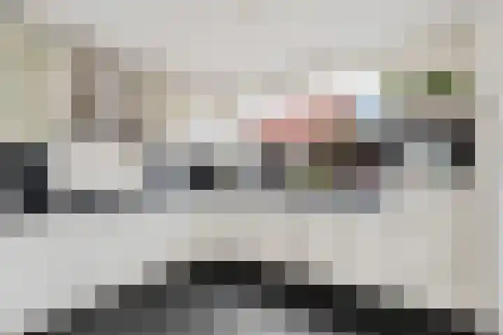 Wolvepad 42 Berghem thumbnail 15