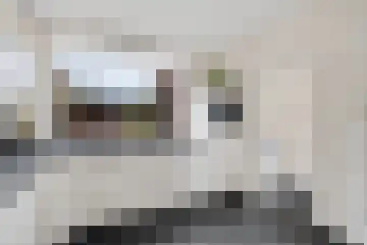 Wolvepad 42 Berghem thumbnail 16