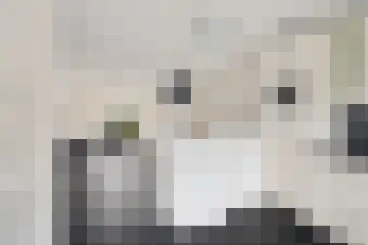 Wolvepad 42 Berghem thumbnail 17