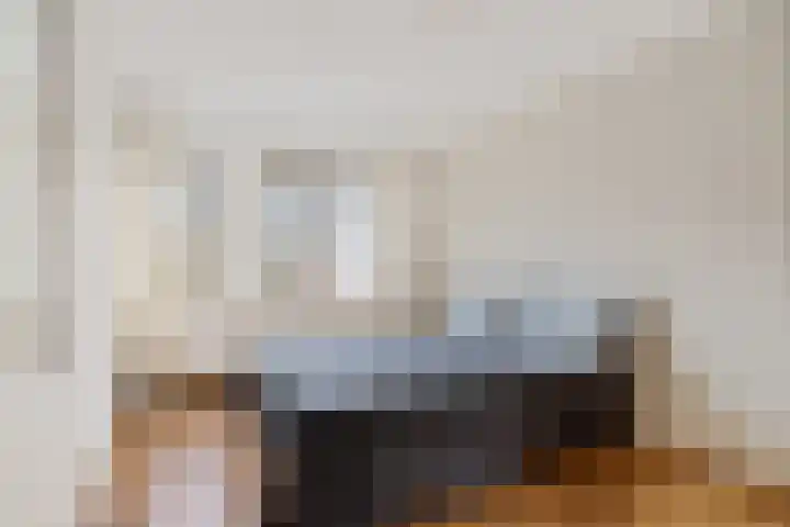 Wolvepad 42 Berghem thumbnail 21