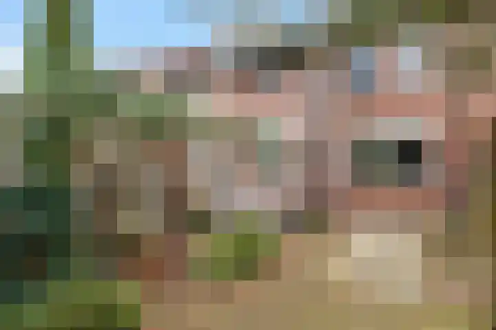 Wolvepad 42 Berghem thumbnail 38