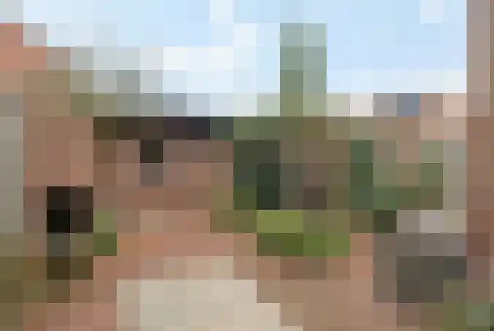 Wolvepad 42 Berghem thumbnail 4