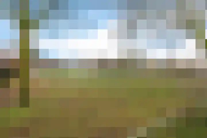 Wolvepad 42 Berghem thumbnail 41