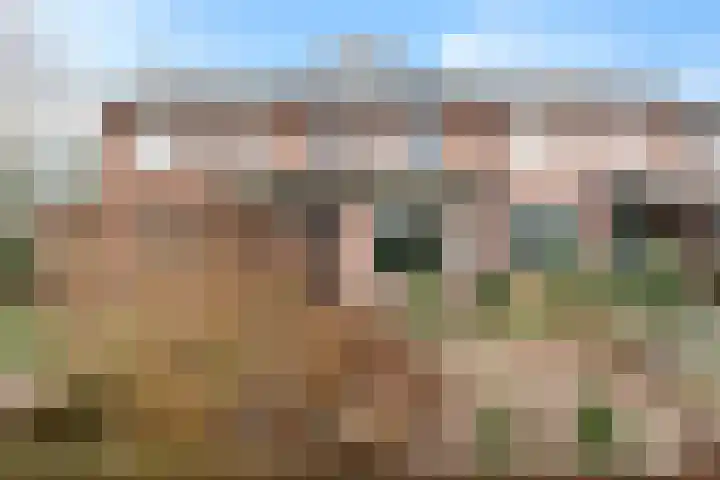 Wolvepad 42 Berghem thumbnail 42