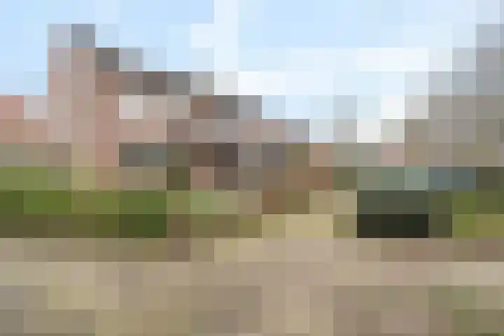 Wolvepad 42 Berghem thumbnail 43