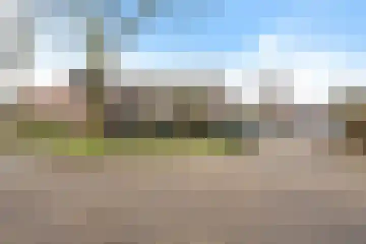Wolvepad 42 Berghem thumbnail 44