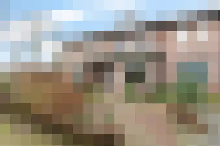 Wolvepad 42 Berghem thumbnail 6