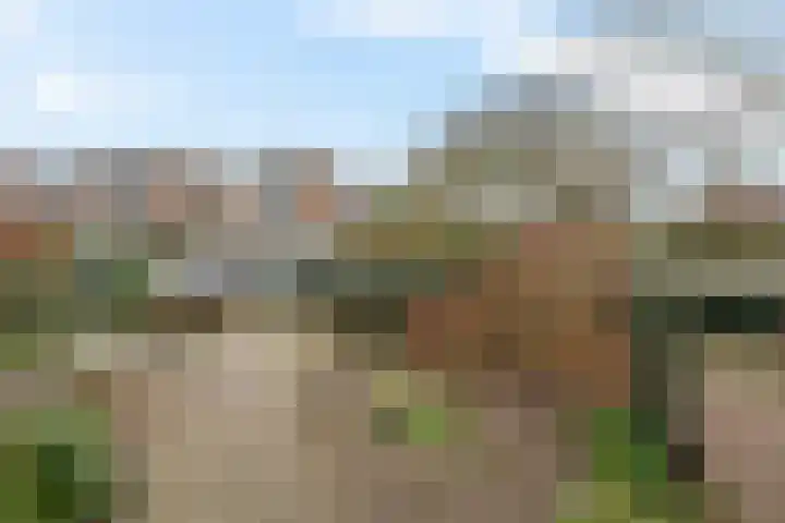 Wolvepad 42 Berghem thumbnail 7