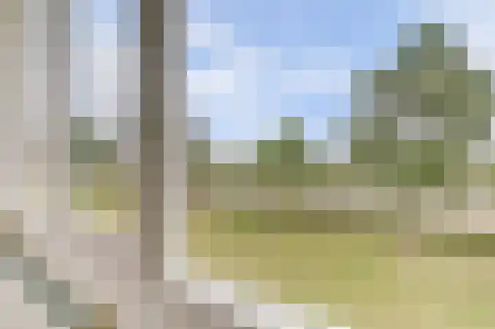 Wolverversgilde 7 Dronten thumbnail 28