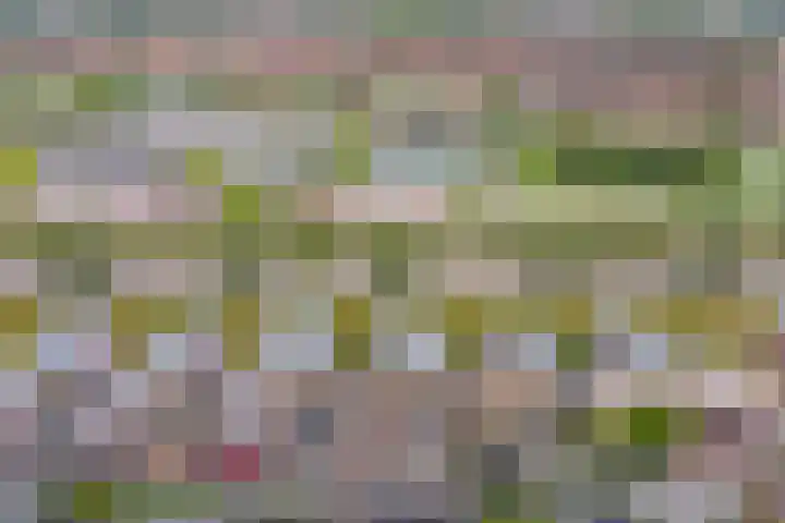Wolverversgilde 7 Dronten thumbnail 30