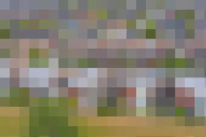 Wolverversgilde 7 Dronten thumbnail 31