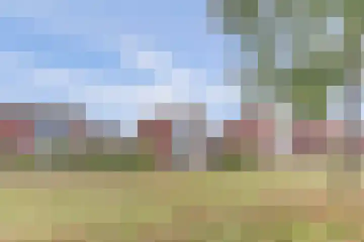 Wolverversgilde 7 Dronten thumbnail 32