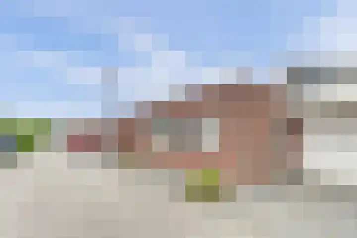 Wolverversgilde 7 Dronten thumbnail 38