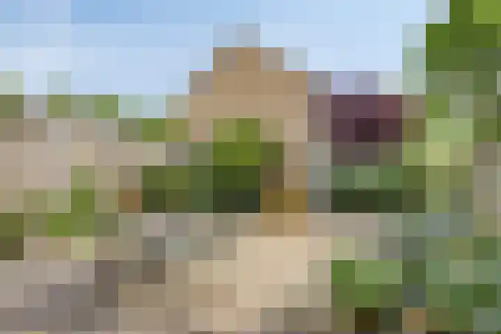 Wolvespoor 30 Oss thumbnail 23